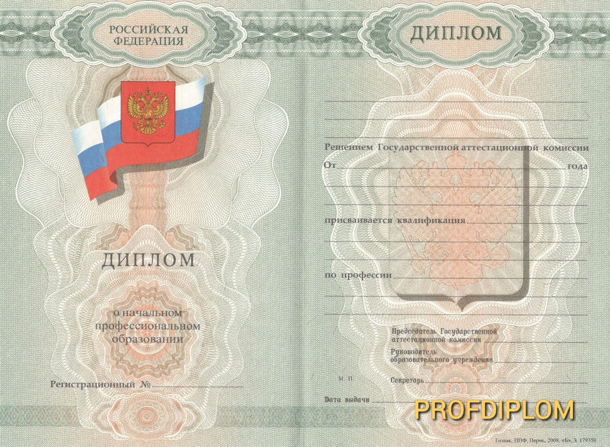 Диплом лицея 2007-2009 купить