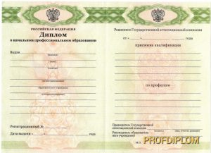Диплом училища с 2010