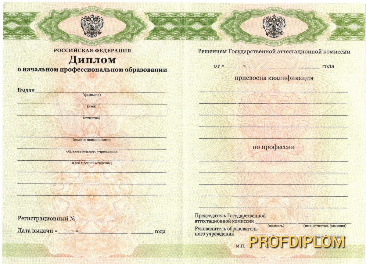 Диплом лицея с 2010 купить