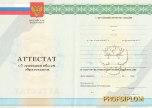 Аттестат 9 класс 2007-2013