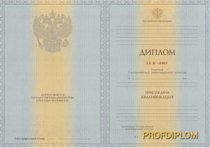 Диплом специалиста 2011-2013