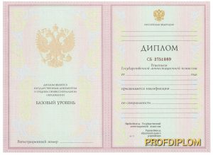 Диплом техникума-колледжа 2004-2006