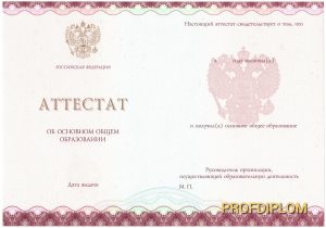Аттестат 9 класс 2014-2021